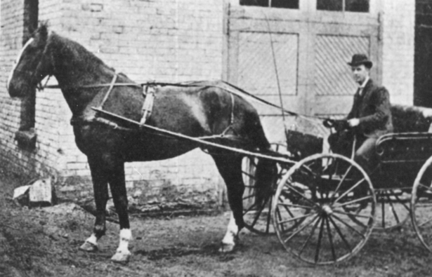 ‘Delaware’, so named because he was born on a farm in Delaware Township. He was a kindly horse and loved the fire-fighting game.