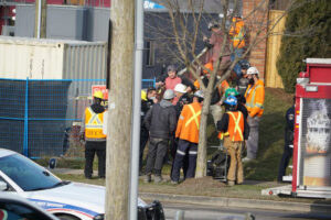 A large group of construction workers